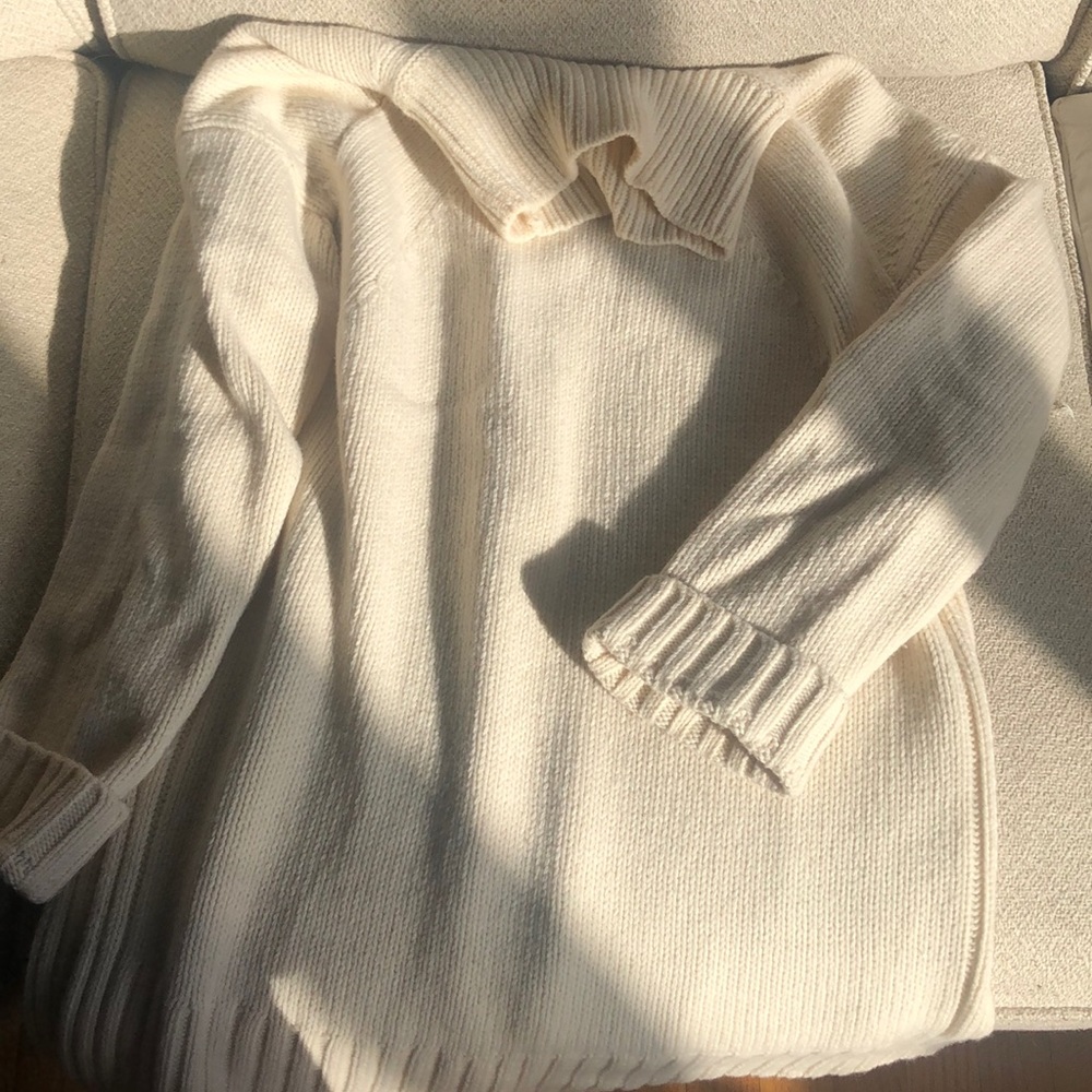 Everlane cotton/wool blend chunky turtleneck